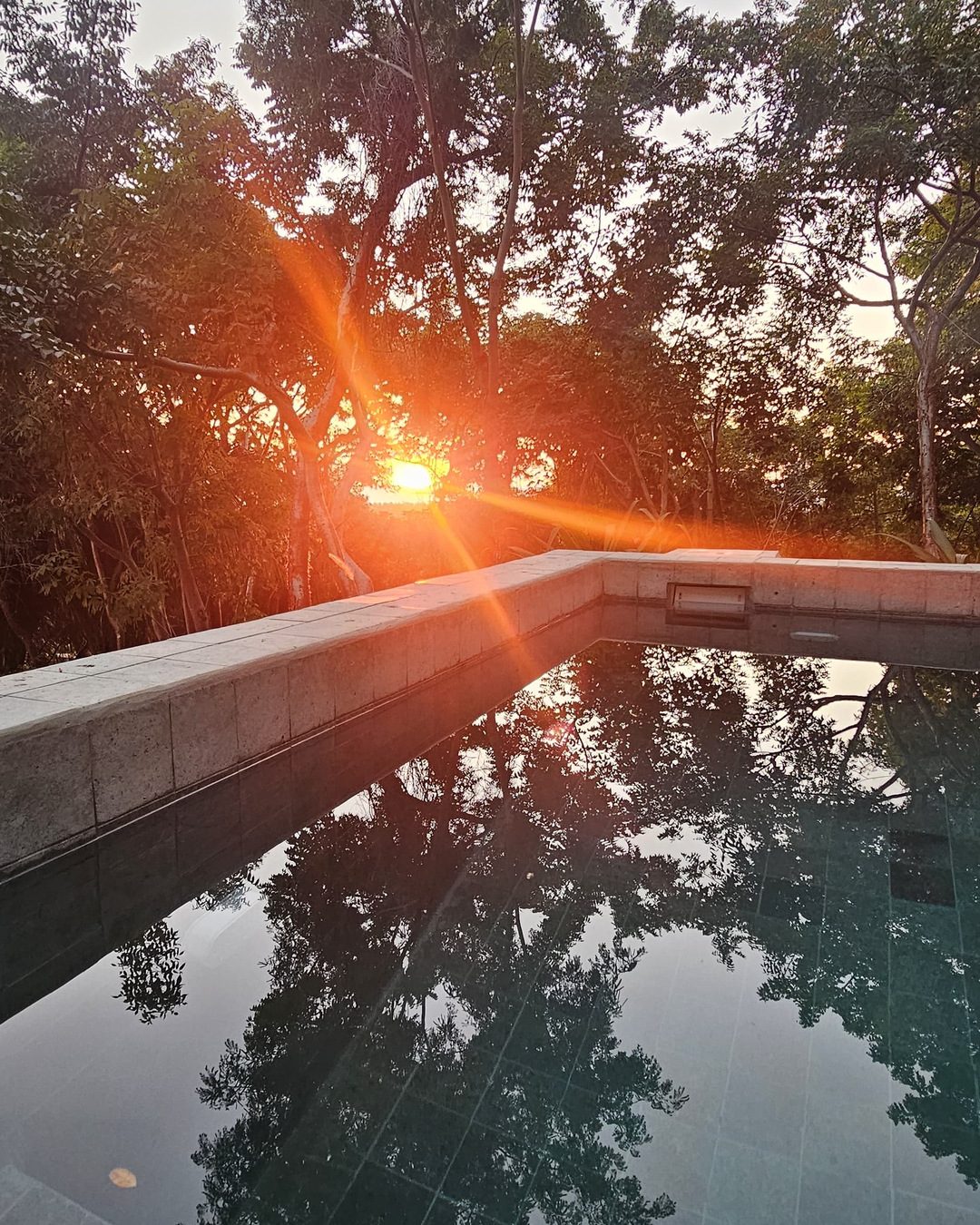 Sol de la tarde entre los árboles reflejado en el jacuzzi
